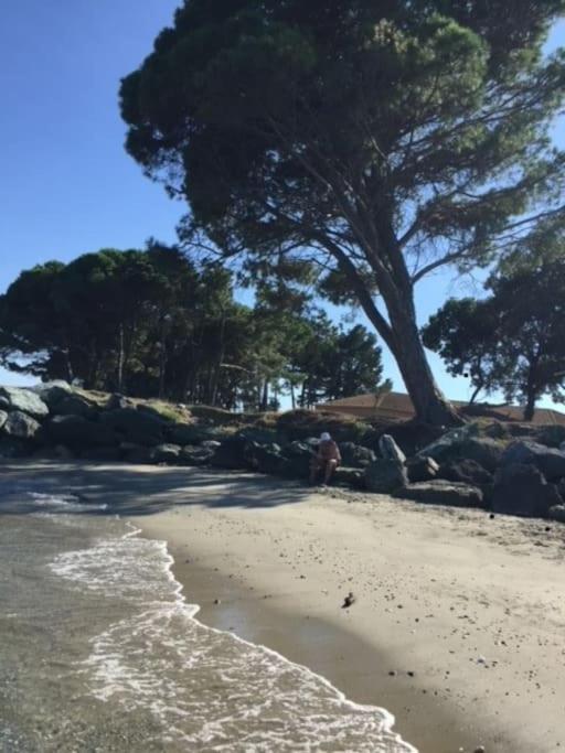 Appartement Tout Confort 2-4 Pers 500 M De La Plage Avec Piscine Et Wifi Santa-Maria-Poggio  Buitenkant foto
