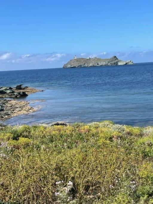 Appartement Tout Confort 2-4 Pers 500 M De La Plage Avec Piscine Et Wifi Santa-Maria-Poggio  Buitenkant foto