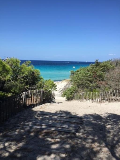 Appartement Tout Confort 2-4 Pers 500 M De La Plage Avec Piscine Et Wifi Santa-Maria-Poggio  Buitenkant foto